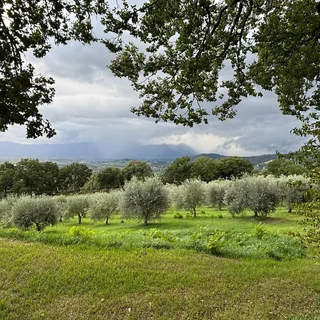 乡村民宿 Casale La Quercia *