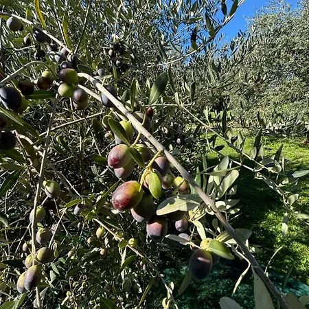Летний дом Casale La Quercia Poggio Bustone